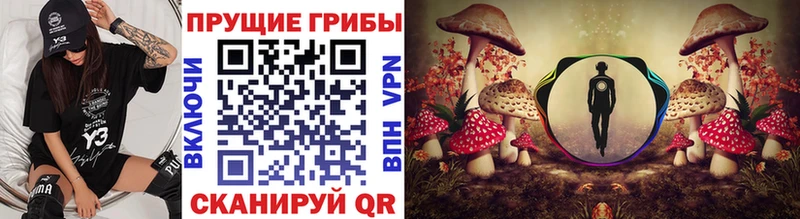 Псилоцибиновые грибы мицелий  Норильск 